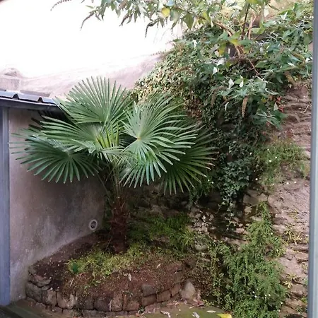 Des Bambous Apartment *